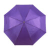 Nube parasol - purpura