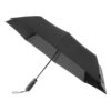 Pangan parasol - czarny