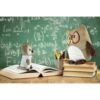 Pluszowa poduszka, sowa | Professowl Pluszowa poduszka, sowa | Professowl