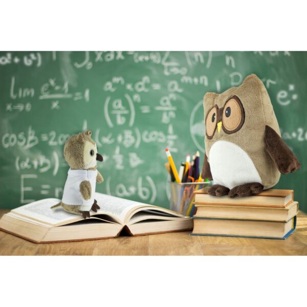 Pluszowa poduszka, sowa | Professowl Pluszowa poduszka, sowa | Professowl